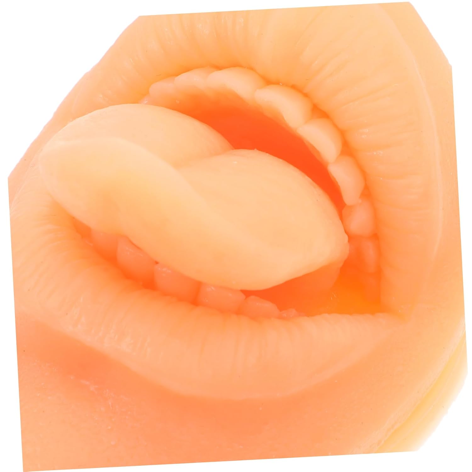 NOLITOY Diverse Silicone Body Parts Models Ears Nose Mouth Tongue Realistic Training Tool for Beauty Salons and Home Use