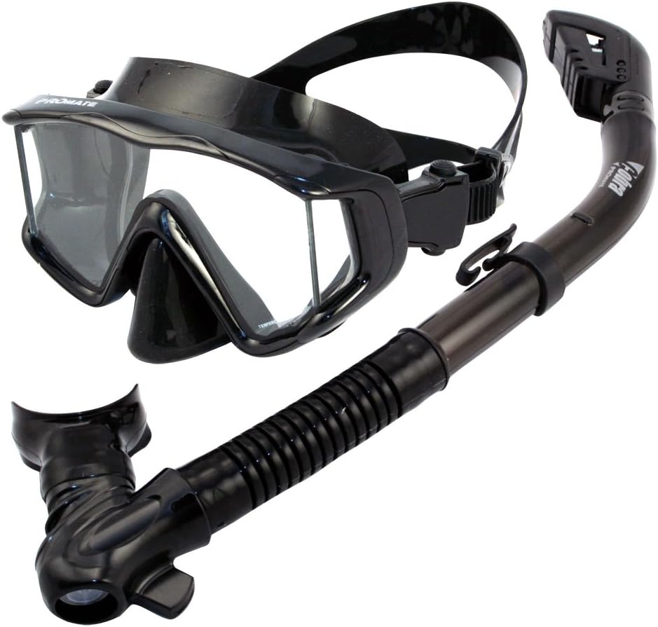 Promate Snorkeling Gear Scuba Dive Panoramic Mask Dry Snorkel Set (9980)