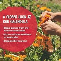 Vista 4 de Boiron Calendula Cream for Relief from Rashes, Skin Irritations, Razor Burn, Insect Bites, or Sunburns - Non-Greasy and Fragrance-Free - 5 oz