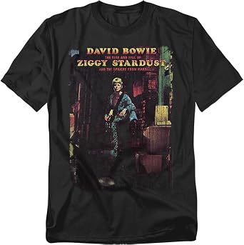 Popfunk David Bowie Ziggy Stardust Rock Album T Shirt