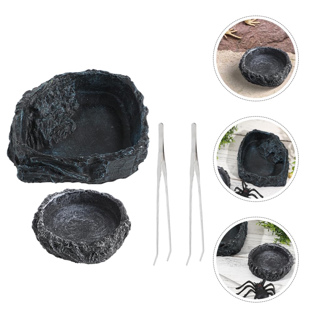 Alipis 1set Ciotola per Rettili con Pinzper Alimentazione Ciotola per Cibo per Tartarughe e Draghi Barbati Design Versatilper Terrario Accessori per Rettili e