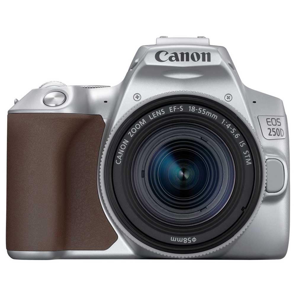 Canon EOS 250D Kit (EF-S 18-55mm f/4-5.6 IS STM) Silver : Amazon