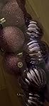 Review Image by JM JM