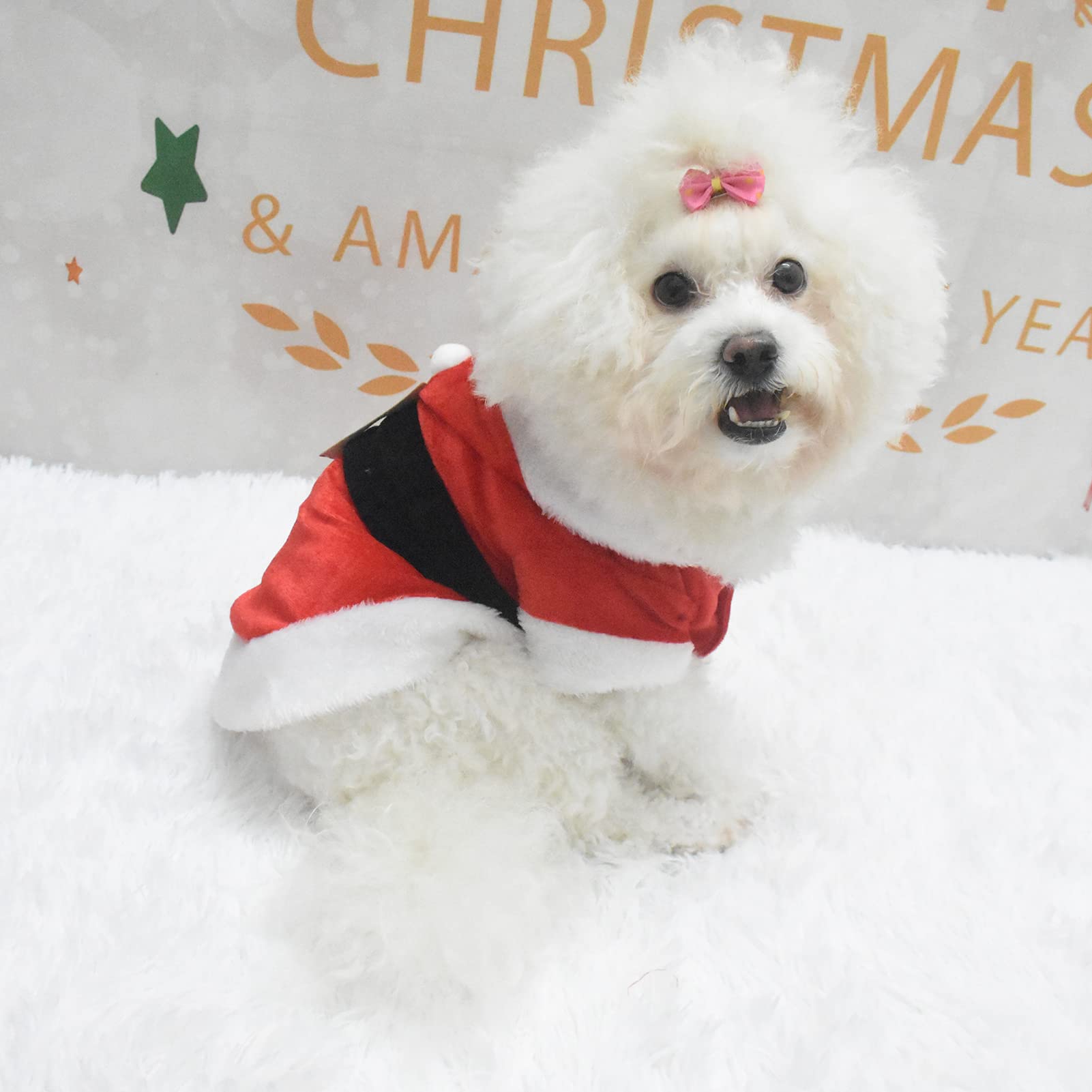 ZZXLOPEZ Vestiti Natalizi Cani, Felpa Cane Natale, Costume Natalizio Per Cani, Babbo Natale Costumi Per Cane, Costume Di Natale Per Animale Domestici, Costume Di Natale Per Cani E Gatti, Rosso, L