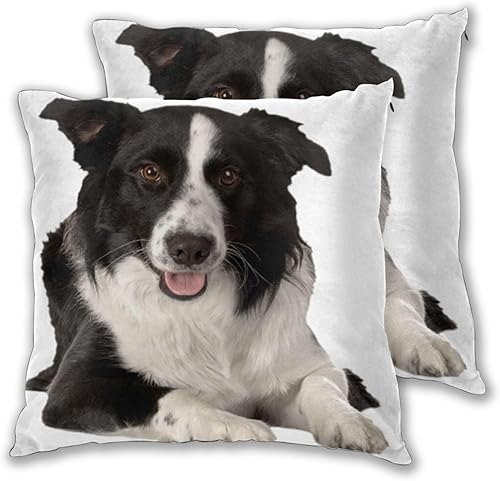 Miniatura 2 de Ovbflc Border Collie Double-Sided Plush Throw Pillow Cover (Pack of 2), Sofa Pillow, Home Decor Pillow Cover, Lumbar Pillow
