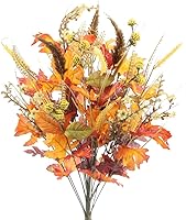 Vista 1 de Admired by Nature