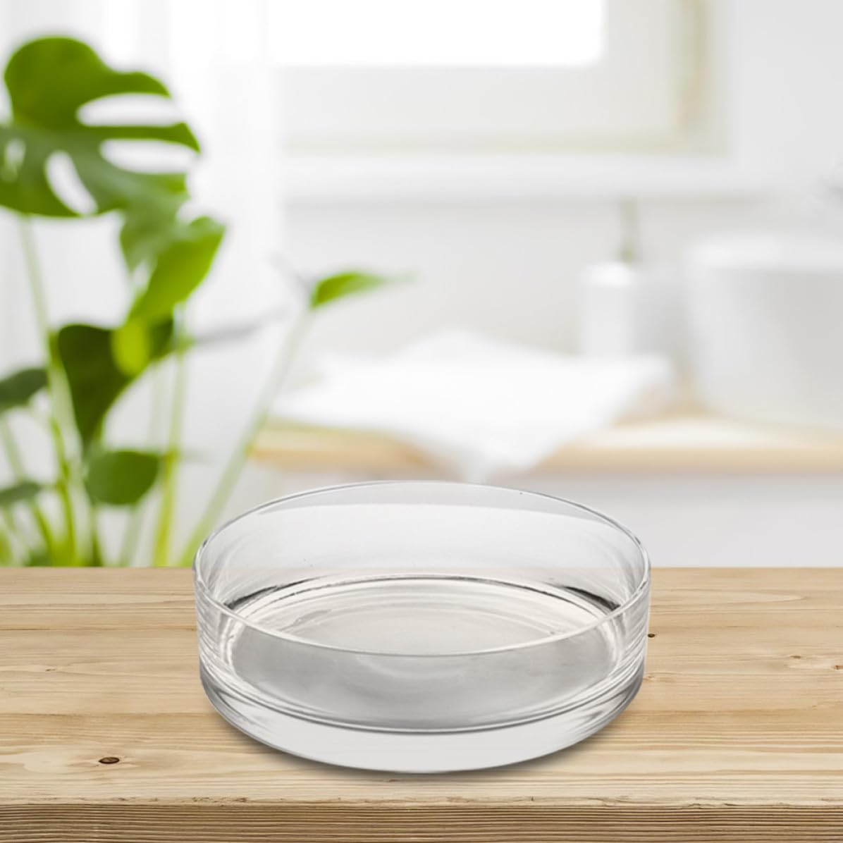 Zerodeko Vaso di Vetro Rotondo per Piante e Pesci, Decorativo e Trasparente | Uso Domestico o Negozio, Vetro Delicato, Alta Trasparenza, Stile Chic, Adatto a Composizioni Floreali