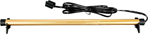 Lockdown Golden Rod