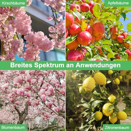 SKIPTHYBER 22 Stück Astspreizer für Obstbäume, Astzieher Halter für Obstzweige,Metall M Förmiger Astspreizer,Pflanzenstütze für Gartenzweige,Zum Spreizen und Ebnen von Obstbaumzweigen