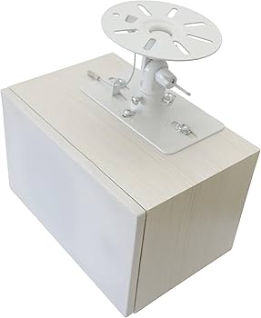 Amazon.co.jp: ダイトーボイス 天吊りスピーカー DVT-WD1 シングル