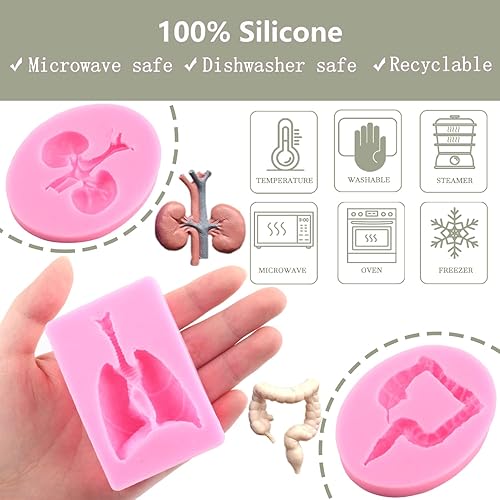 Miniatura 2 de Zixiang Moldes de silicona de órganos humanos para Halloween, intestino pulmonar, riñón, chocolate, fondant, para Halloween, fiesta, decoración de