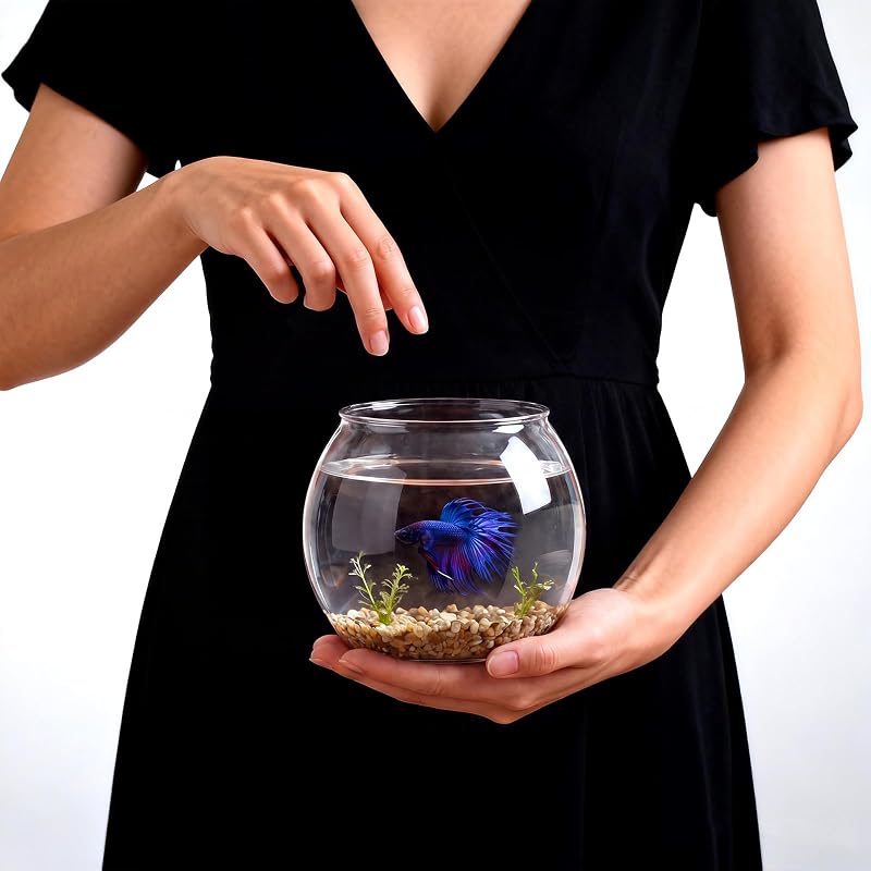 Aquário Globo Redondo Geelin em Plástico PET Transparente para Peixes, Terrário e Decoração, 1,89 L