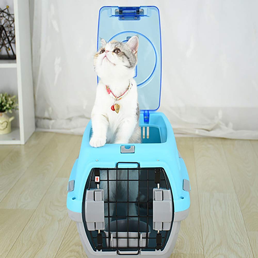 Amazon.com: ZXCVASDF Pet Air Box Dog Cat Cat Bag Out of The