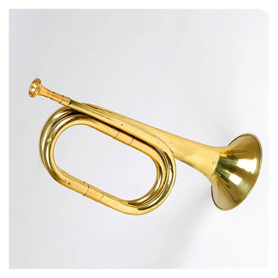 Amazon.co.jp: 金管楽器 ホルン コールトランペット 管楽器