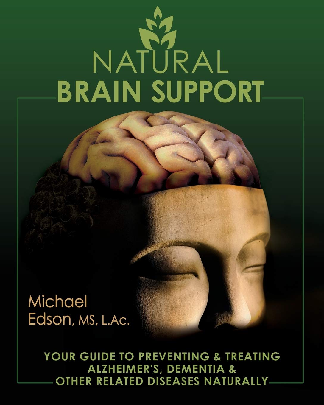 Natural Brain Support: Your Guide to Preventing and Treating Alzheimer's, Dementia and Other Related Diseases Naturally