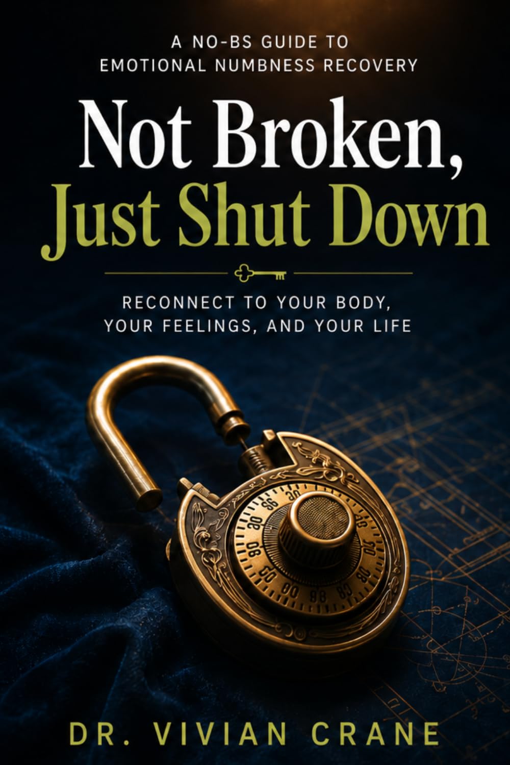 Not Broken, Just Shut Down: A No-BS Guide to Emotional Numbness Recovery — Reconnect to Your Body, Your Feelings, and Your Life