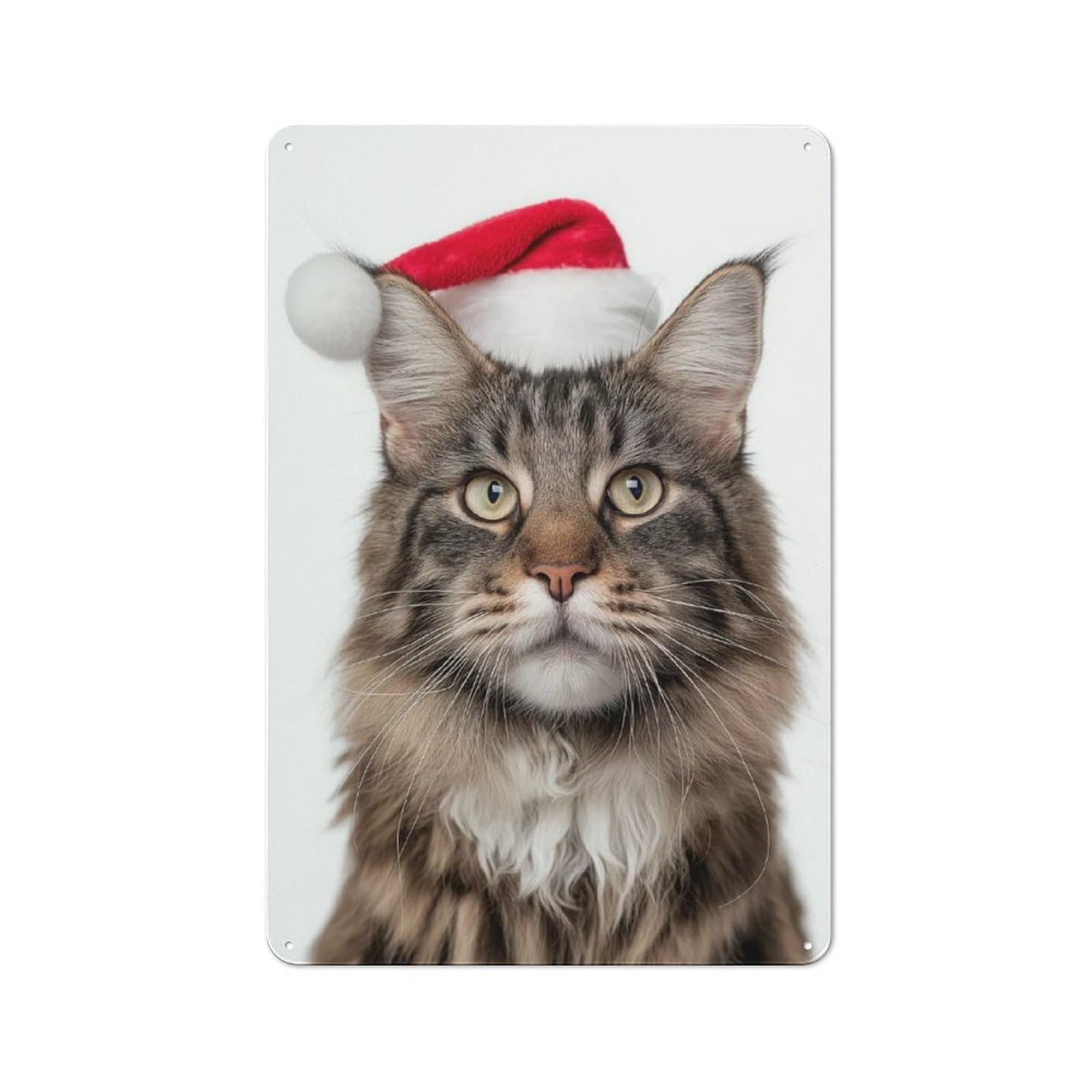Junmoney Maine Coon Cat With Santa Hat Portrait Classic Metal Wall Plaque 30X20cm Featuring Creative Space Decor For Workspace, Cafe, Shop Or Desk Area