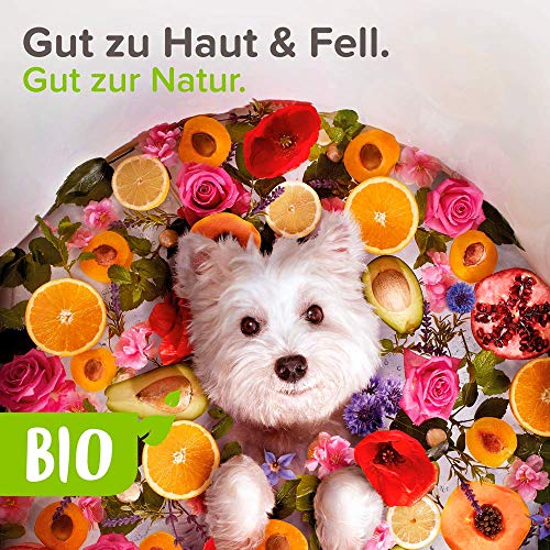 beaphar 17750 Bio Trocken-Shampoo für Hunde und Katzen, sanfte Pflege und Reinigung des Fells ohne Wassser, 200 ml