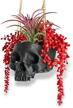 Resin Air Plant Holders,Tilandsia Container,Gothic Skeleton Planter,Halloween Plant Pot,Tillandsia Pot, Skull Table Top Display Planters for Air Plants and Other 3.9 * 5.5 * 3.2,Black