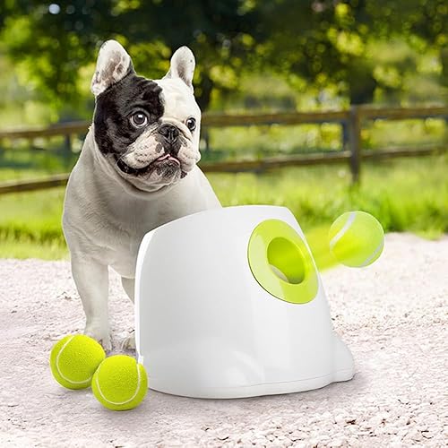 ALL FOR PAWS Lanzador automático de bolas para perros pequeños y medianos, máquina interactiva de lanzamiento de pelotas de tenis para perros,