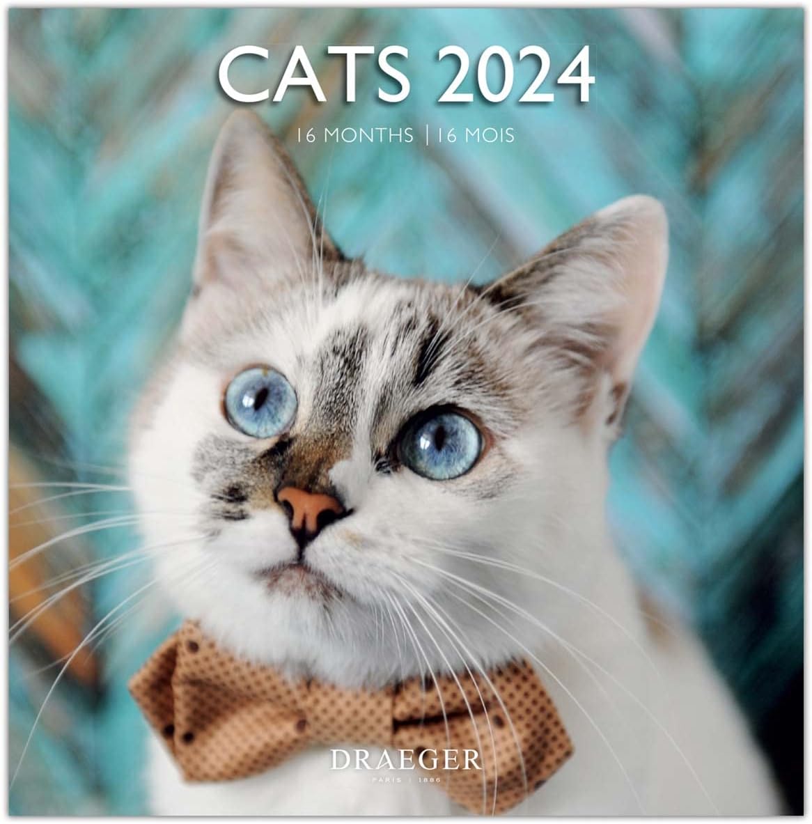 DRAEGER PARIS | Doisneau 2024 Large Wall Calendar Hanging 29 x 29 cm | 16 Months Sep-23 to Dec 24 | 7 Languages | Office Calendar, Home, Monthly | Decoration, Organization | FSC® Certified Paper 3 61IR9apambL. AC SL1200