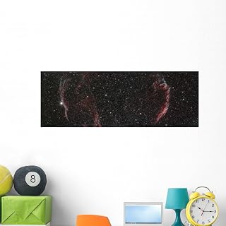 Veil Nebula Mosaic Wall Mural by Wallmonkeys Peel and Stick Outer Space Graphic (48 in W x 17 in H) WM341507