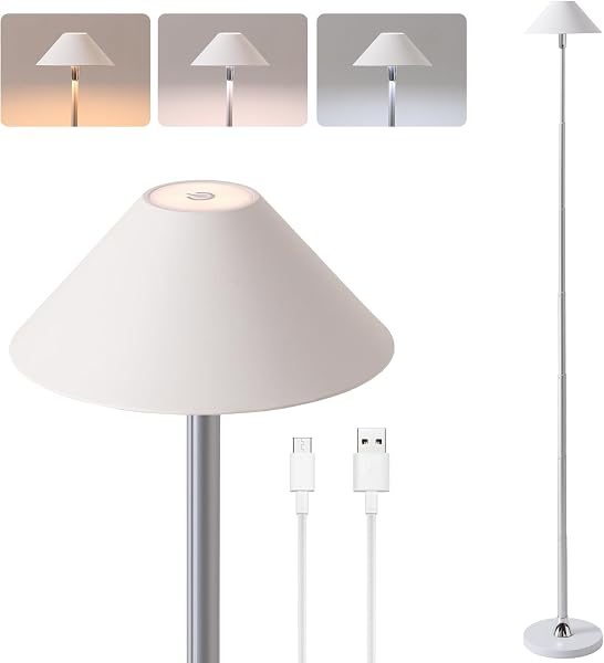 Fansdrick Rechargeable Floor Lamp for Indoor/Outdoor, Cordless Tall Standing Lamp with 3 Color Temps & Dimmable, IP43 Wa