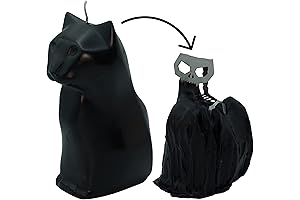 Framed 3D Skeleton Torso Holding Candle