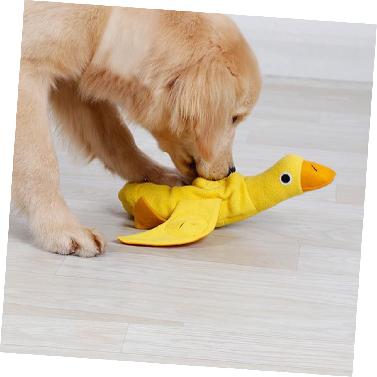 FRCOLOR 3stücke Multifunktionales Plüschspielzeug Für Hunde Kauspielzeug Mit Quietschfunktion Für Spiel Und Zahnpflege Fördert Natürliches Verhalten Und Zerstörungsdrang