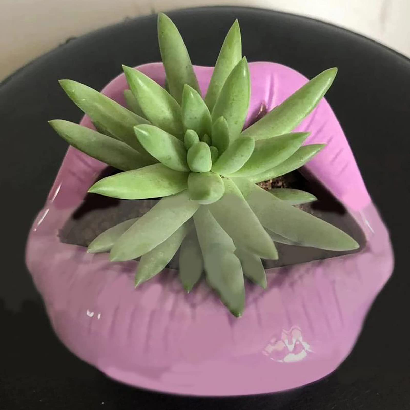 Fioriera in Ceramica a Forma di Labbra,Mini Fioriera in Ceramica per Succulente,Sexy Bocca Aperta Vasi da Fiori Vasi per Piante di Cactus Home Office Giardino Decorazioni per Esterni Labbra