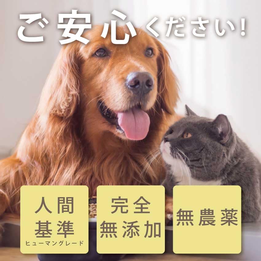 Amazon.co.jp: 犬 瞳サポート サプリ(食べる目の革命) 犬用 猫用 無