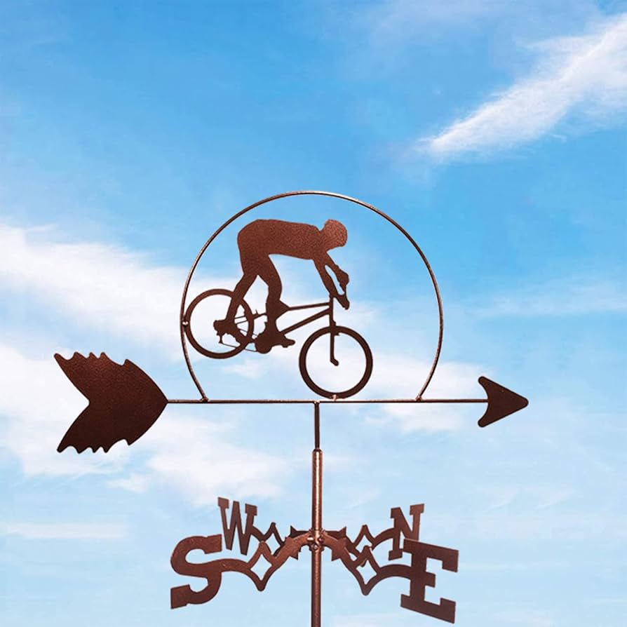 風見鶏 風見鶏 農場 ステンレススチール製 家庭用 風見鶏 風向計 風向