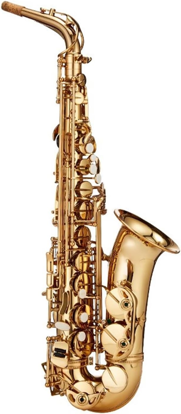 プロフェッショナルサックス アルトサックス初心者向けプロ用演奏楽器 プロフェッショナルサックス アルトサックス E-フラットサックス  プロフェッショナル 演奏学習 真鍮サックス 初心者キット プロフェッショナルサックス 初心者向けEフラットアルトサックス楽器セット ...