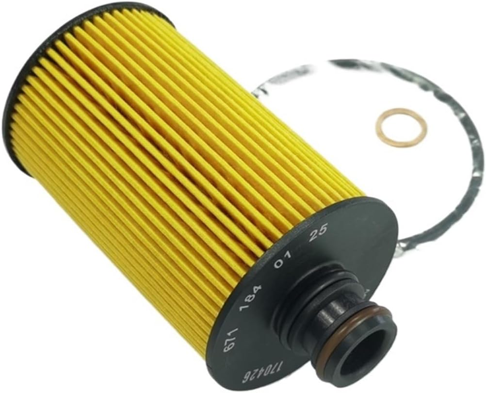 Oil Filter Compatible Diesel ACTYON KORANDO 2.0 E-XDi REXTON 2.0 2.2 Xdi RODIUS MUSSO 67118-03009 67118-40125(4 pcs)