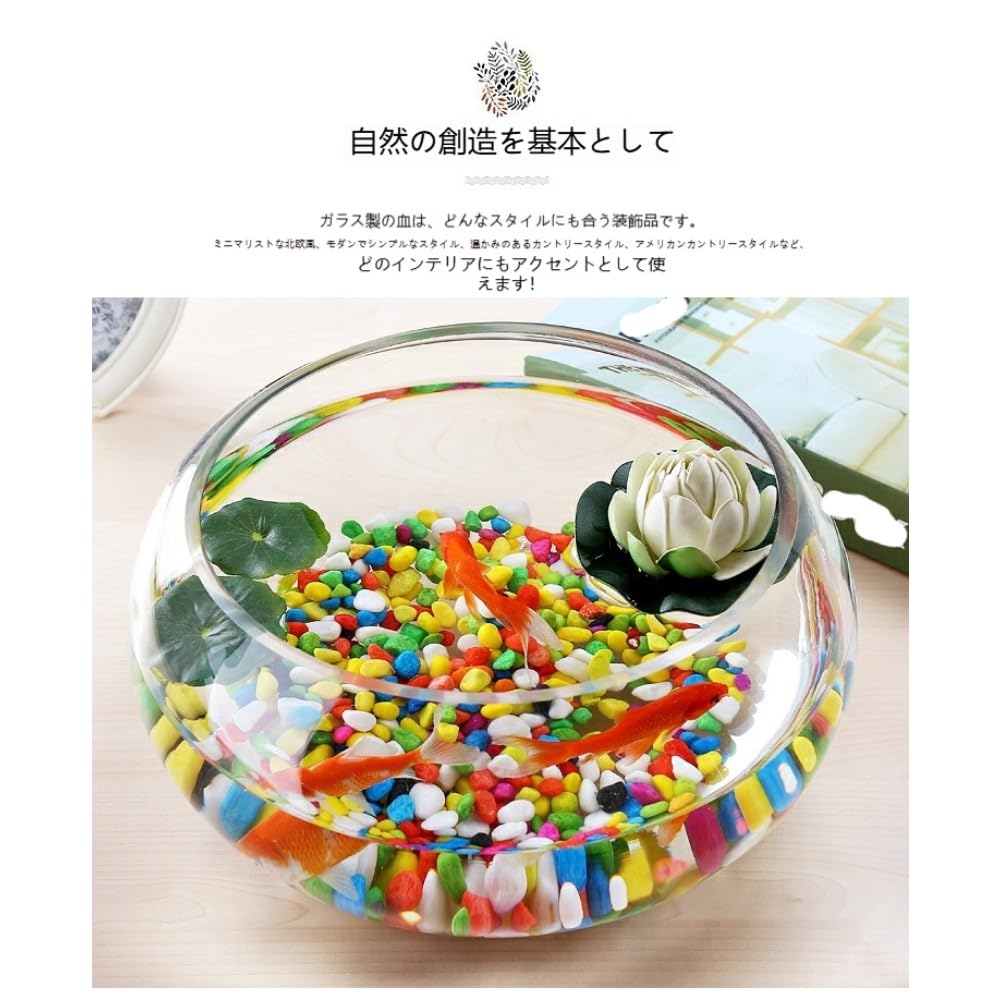 ガラス　三つ足　金魚・メダカ鉢(箱あり) Amazon | 4 サイズ展開 3 足付き丸型ガラス水槽 透明厚手ガラス製 金魚