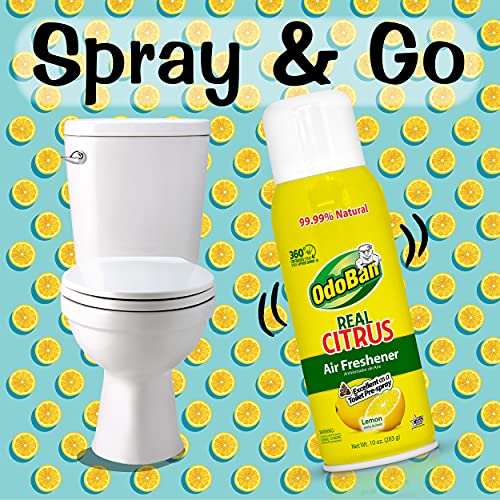 Aroma Eliminator, 360Degree Continuous Spray Natural