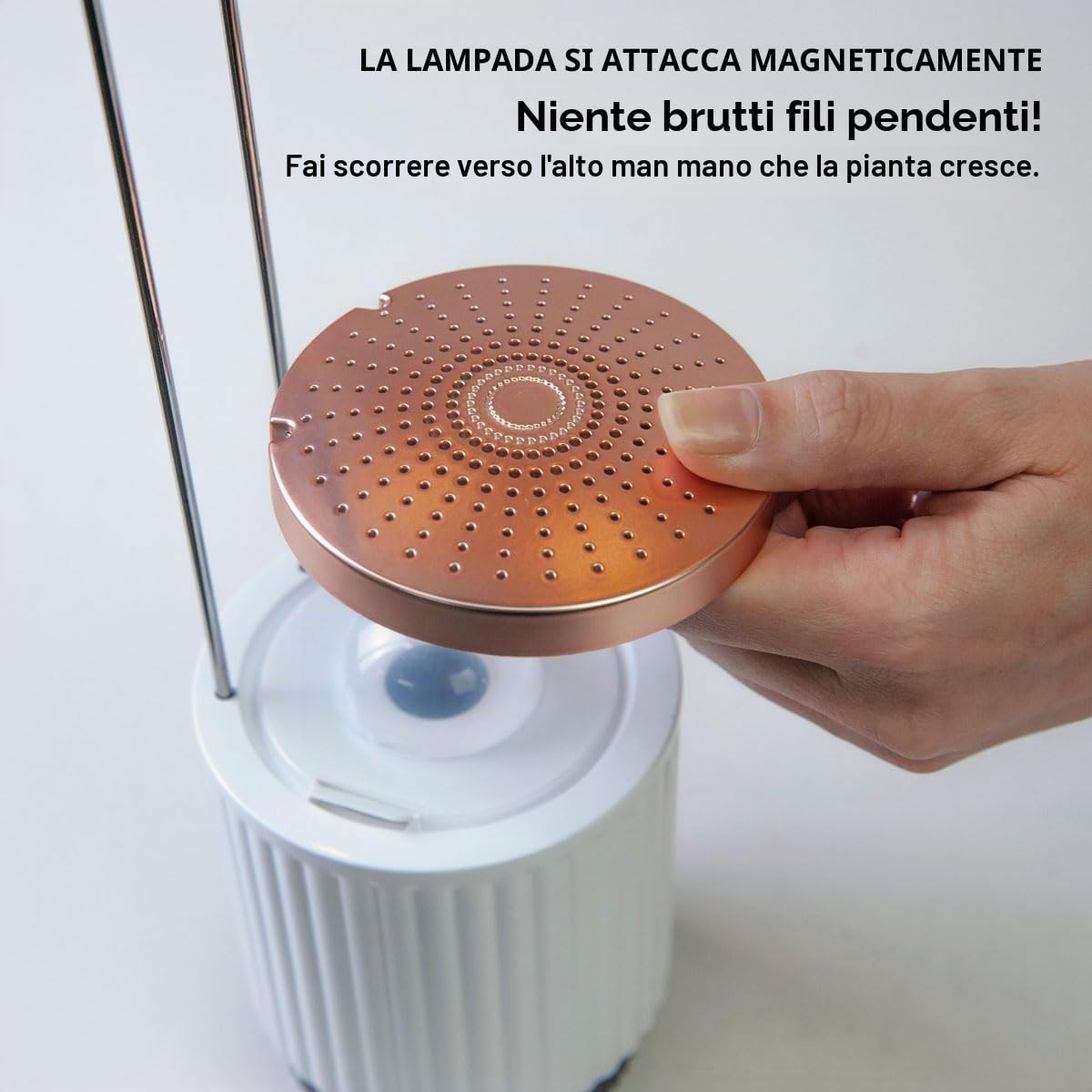 Vaso Smart Autoirrigante con Luce per la Crescita, Kit Mini Serra da Interno con Capsule di Petunia Click&Grow, Hydrovase Smart Garden