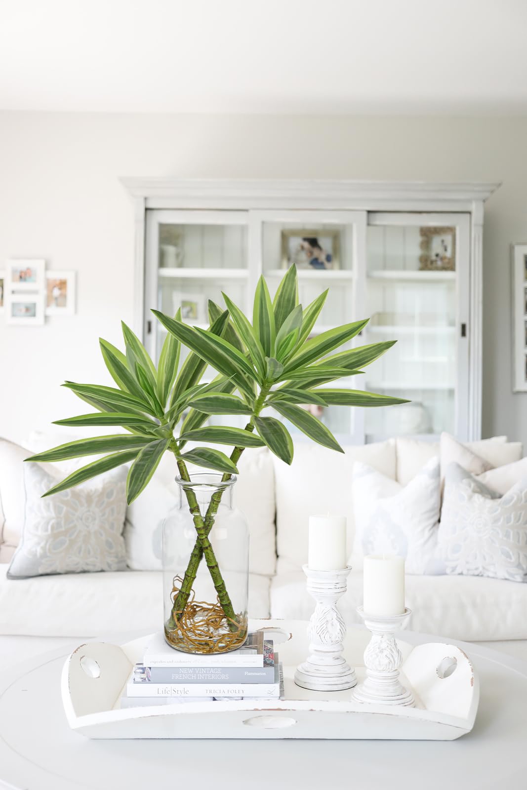 Oairse Artificial Plant in Glass Vase with Faux Water 36cm Decorative Fake Plants Realistic Faux Greenery Artificial Dracaena Reflexa Indoor Plant for
