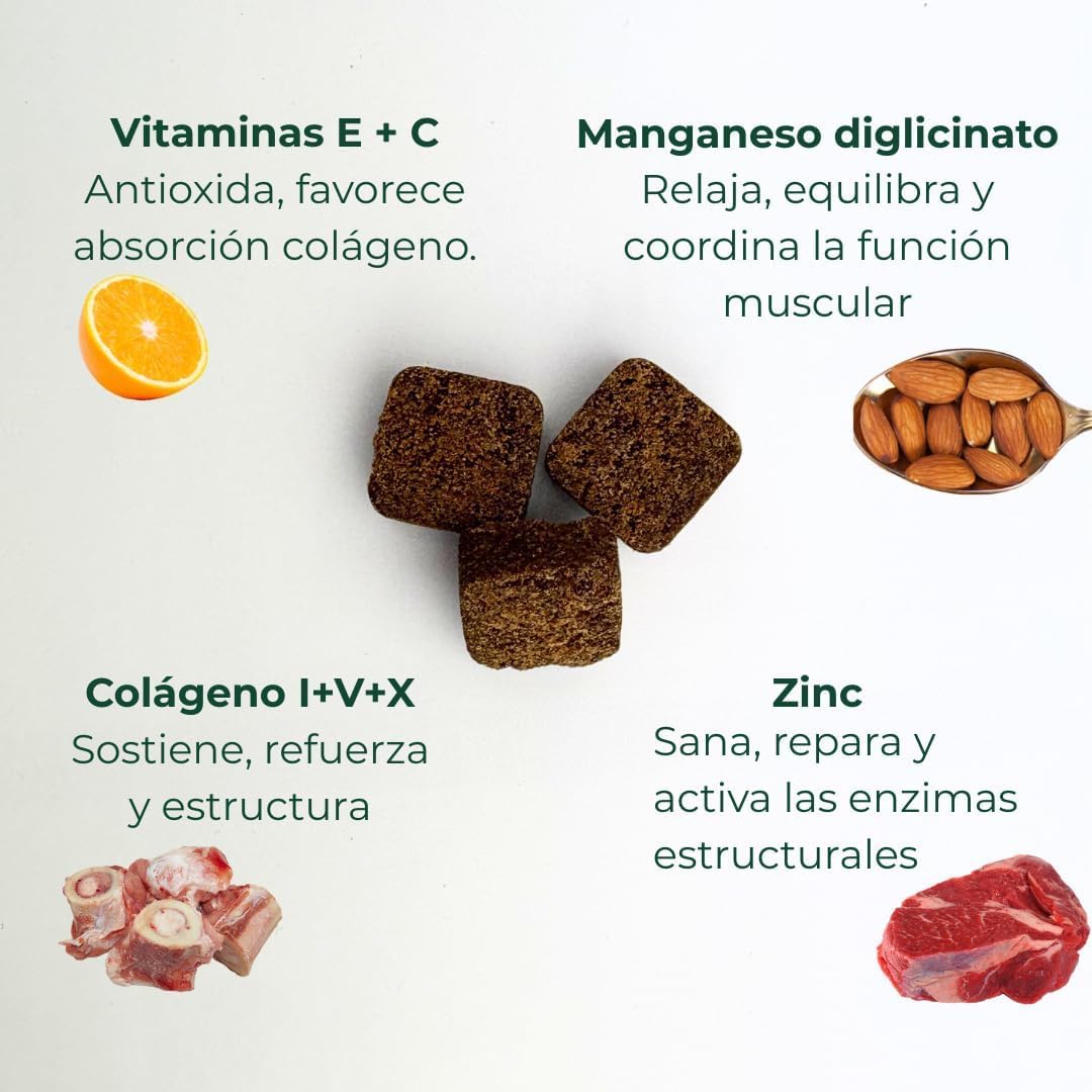 Suplemento condroprotector antiinflamatorio para Perro Ortocanis – Glucosamina, Condroitina, MSM, Omega‑3, Ácido Hialurónico, Cúrcuma, Boswellia Serrata, Colágeno, Vitamina E y C, Magnesio y Zinc