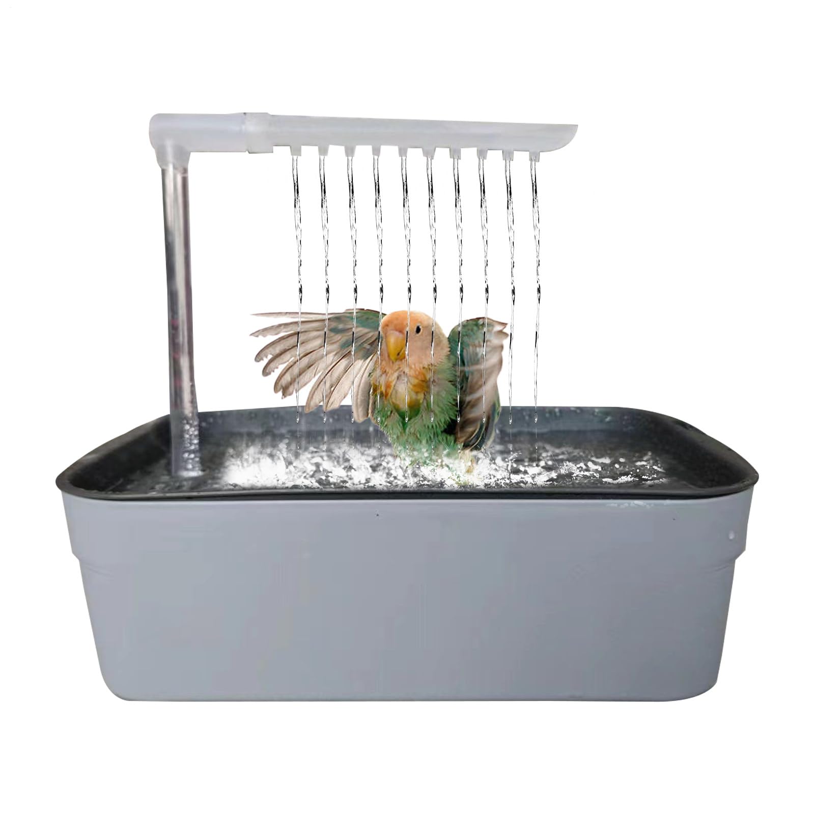 Bañera para loros que soluciona el estrés y la falta de aseo en aves pequeñas