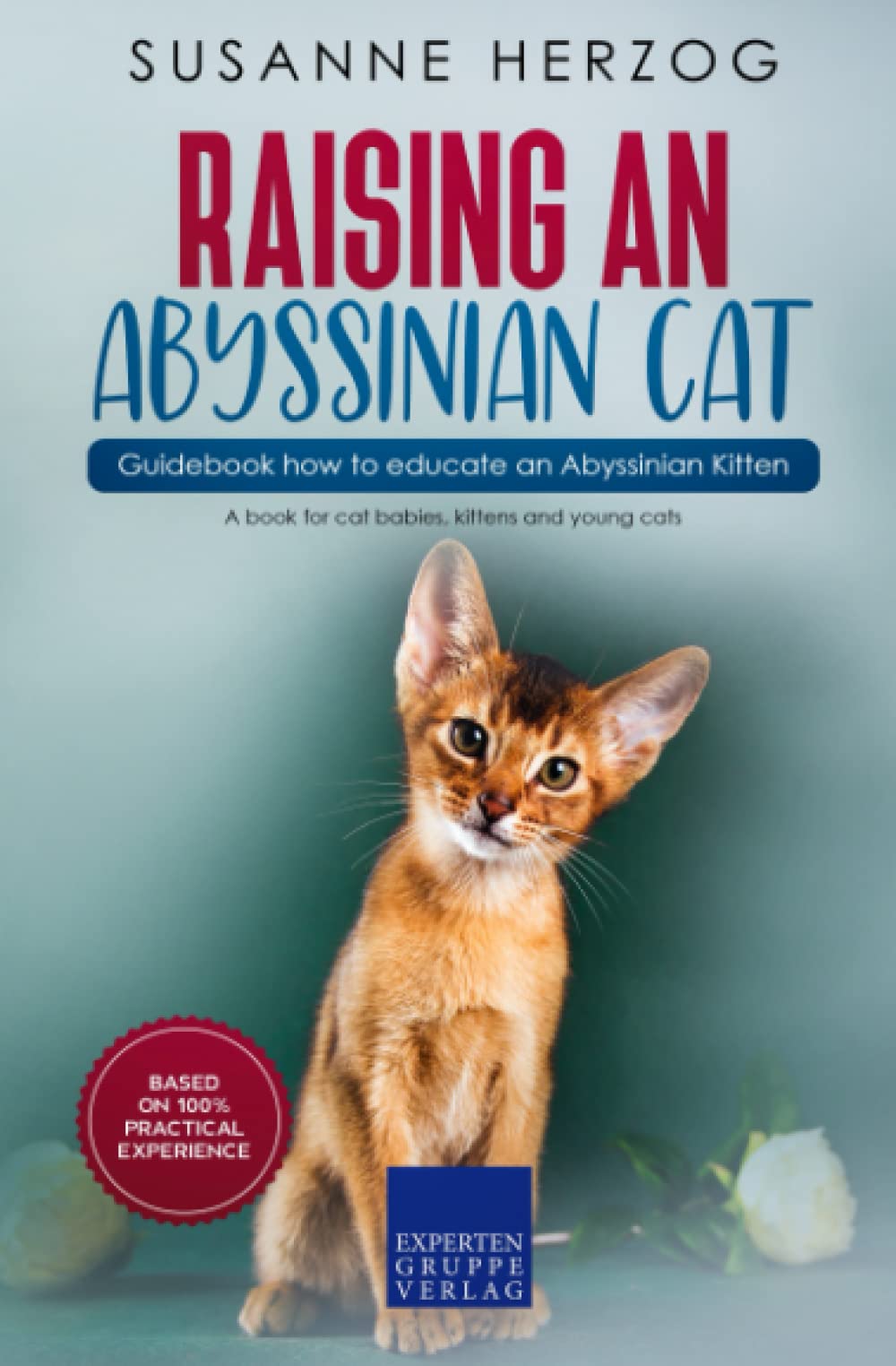Raising an Abyssinian Cat – Guidebook how to educate an Abyssinian Kitten: A book for cat babies, kittens and young cats Paperback – 4 July 2022