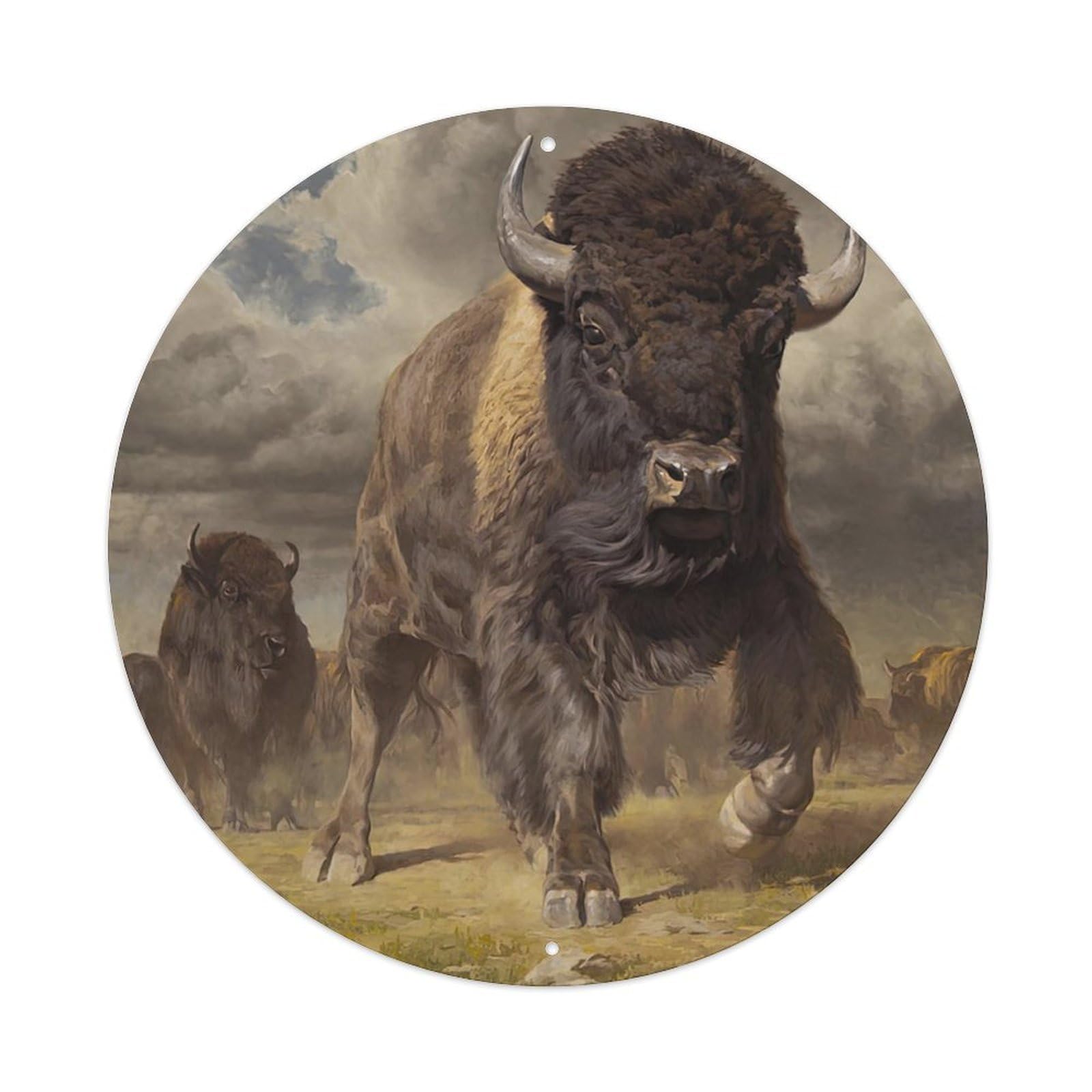 Animal Cattle on The Prairie Metal Tin Sign