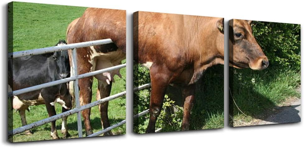 Cow and Gate 3 Piece Canvas Wall Art for Living Room Bedroom Office Framed Prints Pictures Painting Wall Decor Artwork for Walls Set of 3 Color7