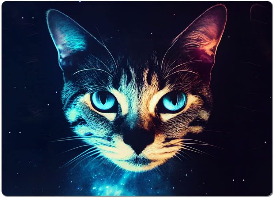 Space Cat Car Magnet 2 PCS - Cute Cat Car Magnet - Animal Print Sticker