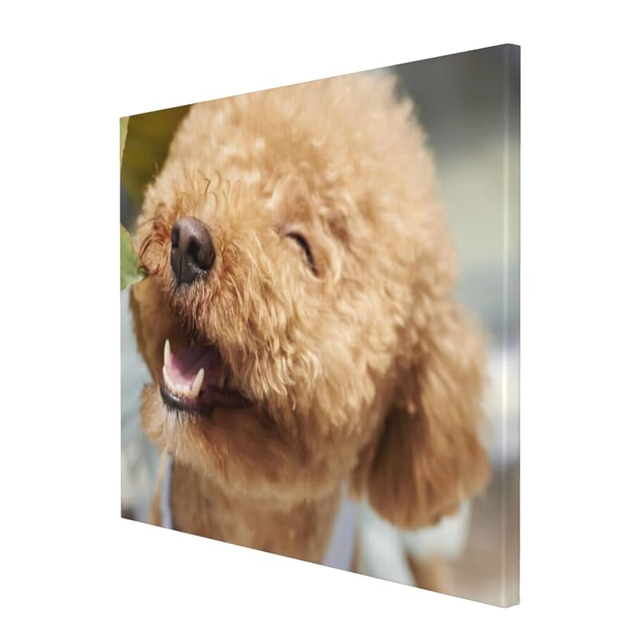 手書き油絵 トイプードル 絵画 インテリア 油彩画 トイプードル犬の絵【完成例】お顔アップの胸像画として描いた