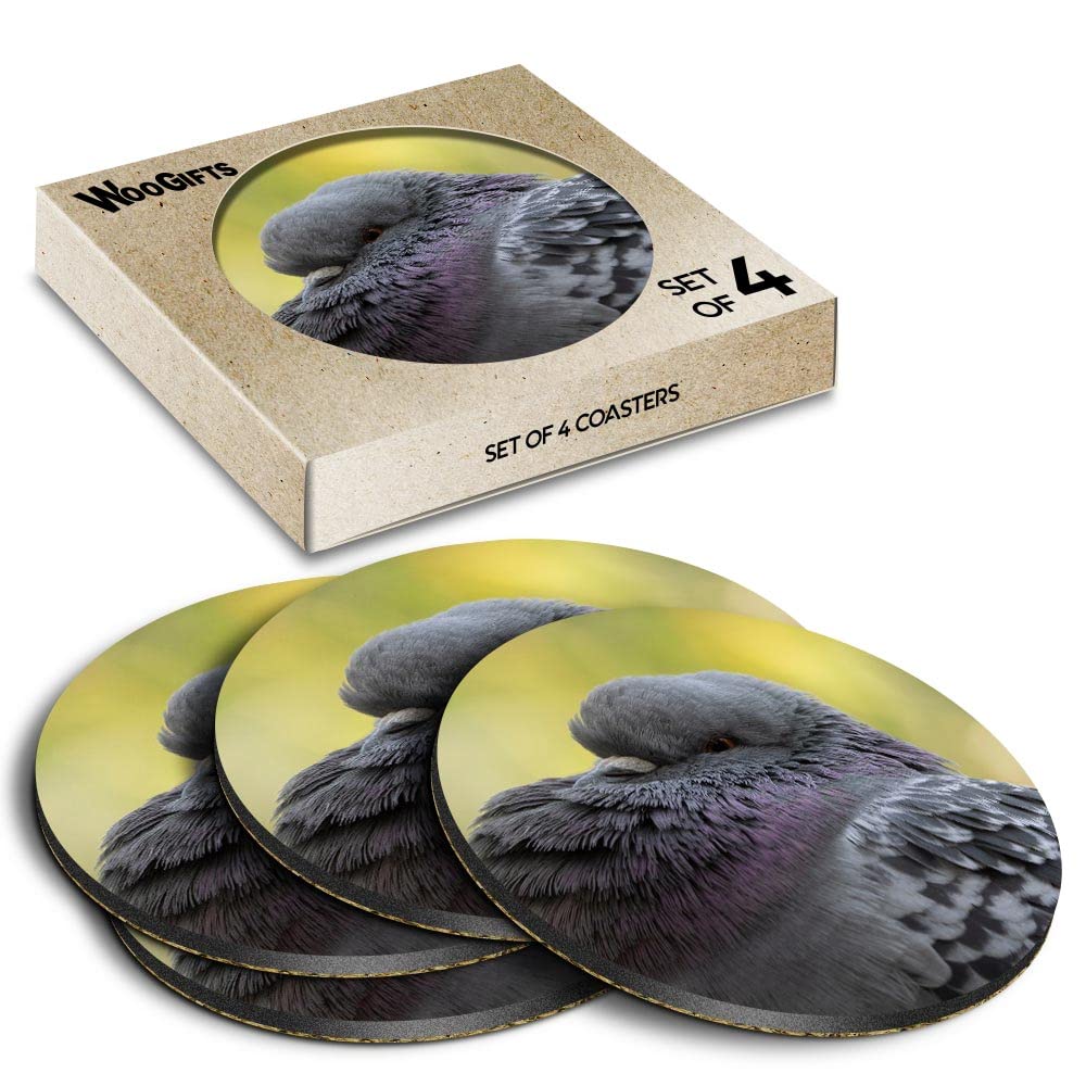 4 x runde Untersetzer – Feral Racing Pigeon Cute Bird Kork Rückseite MDF glänzend Tee Kaffee Zubehör #50882