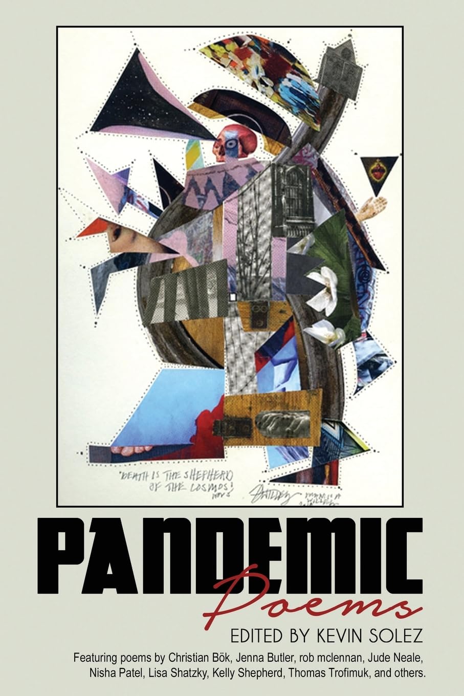 Pandemic Poems