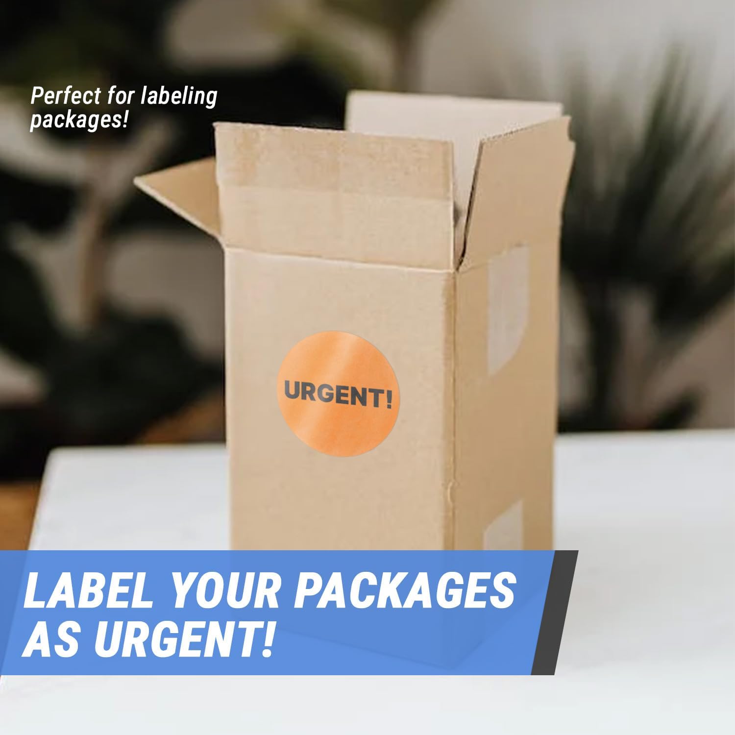 Urgent Labels (1.5 inch, Circle Dot - 600 Labels) Clear & Bold Urgent Signage Stickers for Important Shipments, Packages, Back-Stock, Shipping & Handling
