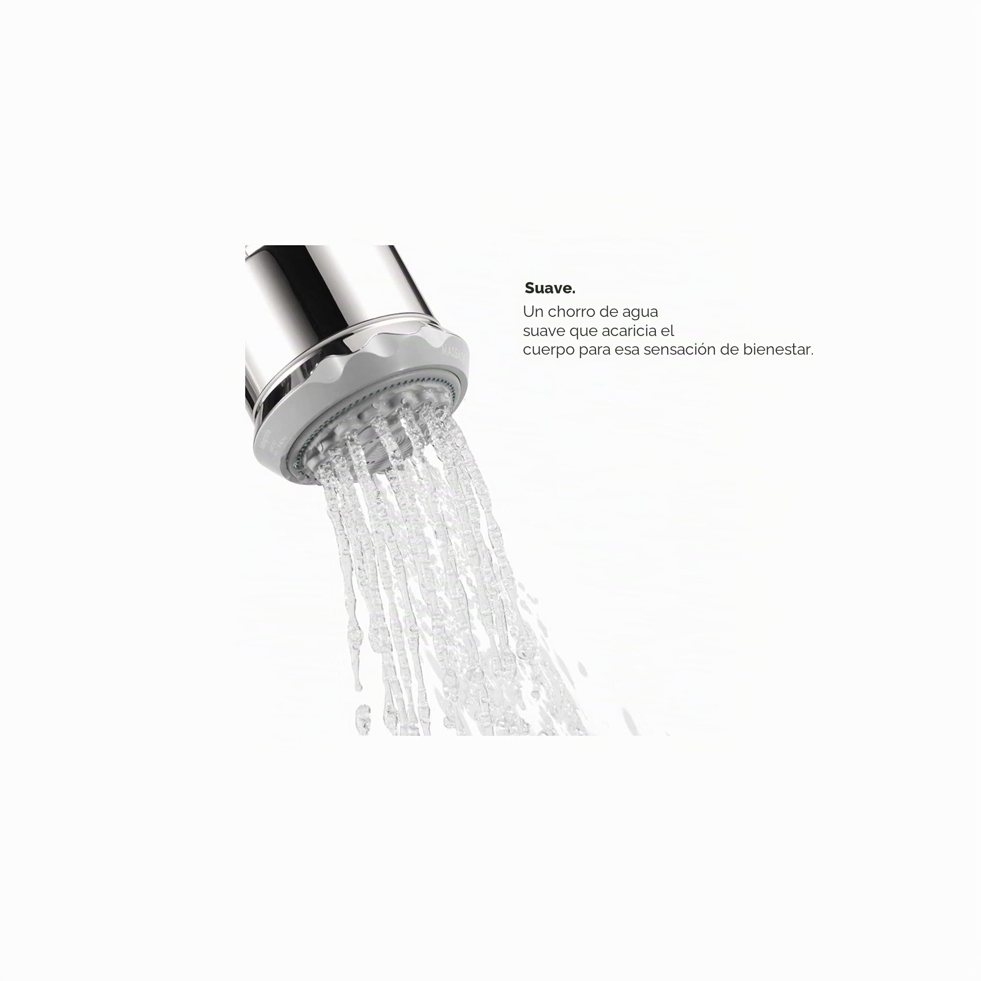 Hansgrohe 028496001 Alcachofa de Ducha, Cromado, 4.02 x 3.54 x 3.54 inches