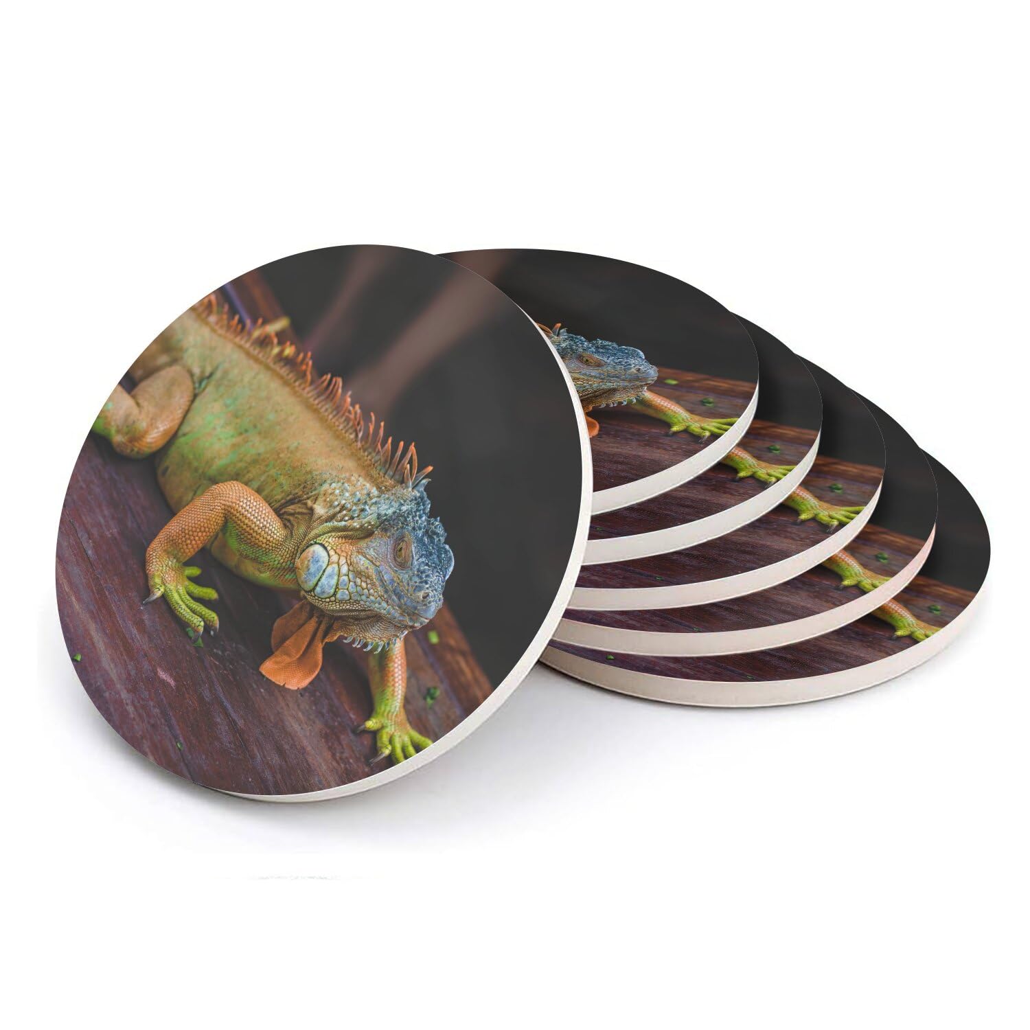 Sous-verres ronds en céramique iguane vert lot de 6 dessous de verre nature sauvage de 11cm
